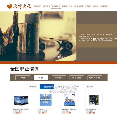 济宁网站建设 五彩石技术先进 济宁网站建设哪家好图片
