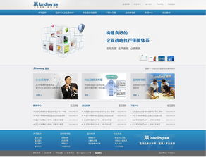 神州互动蓝鼎科技网站建设项目