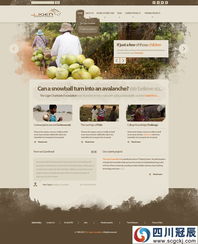 水果行业网站建设及精品案例分享