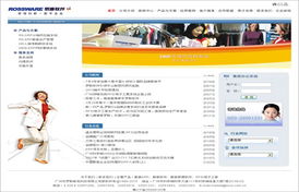 领先网络品牌英铭科技 广州网站建设与设计案例解析
