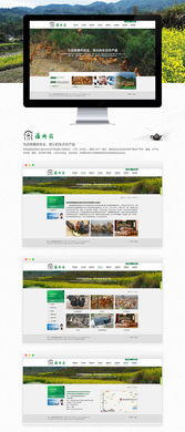 徽乡园生态农产品 构建线上绿色桥梁，赋能品牌新未来